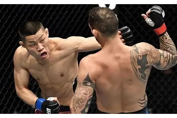 ufc草量级是什么意思啊 什么是ufc重量级与轻量级-第2张图片-波音达手游百科