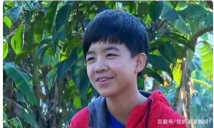 变形记易虎臣回访结尾曲是什么(变形记易虎臣简介)-第6张图片-波音达手游百科