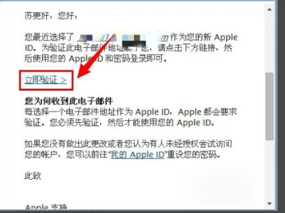 mac app store为什么都是英文(mac app store怎么重装)-第7张图片-波音达手游百科