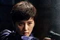 刘诗诗演过的电影有哪些(刘诗诗演过的电影 刘诗诗演过什么电影)-第7张图片-波音达手游百科