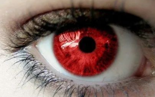 狮子什么瞳孔颜色最稀有?世界十大最稀有瞳孔颜色-第5张图片-波音达手游百科