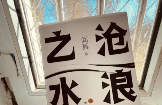有啥好看的官场小说推荐?官场重生的小说推荐-第5张图片-波音达手游百科