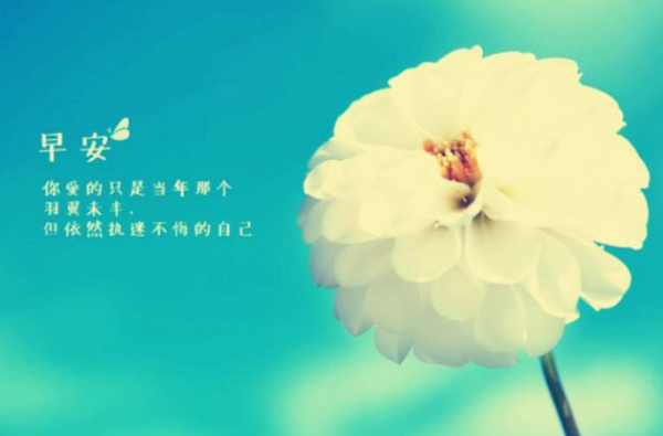 很甜很撩的早安句子有什么?春天很甜很撩的早安句子?-第1张图片-波音达手游百科