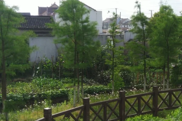 路不拾遗什么意思?路不拾遗怎么读?路不拾遗是什么意思 路不拾遗怎么翻译-第4张图片-波音达手游百科