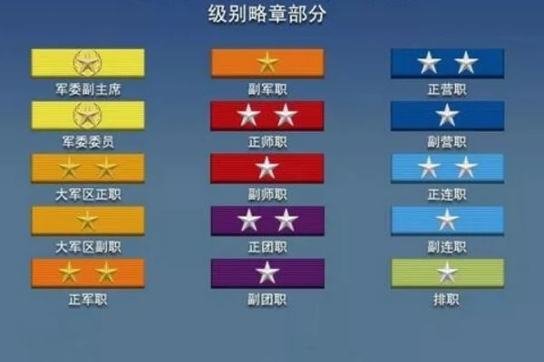 中国人民 *** 由哪些军种组成(中国人民 *** 的胸牌怎样区分?)-第2张图片-波音达手游百科
