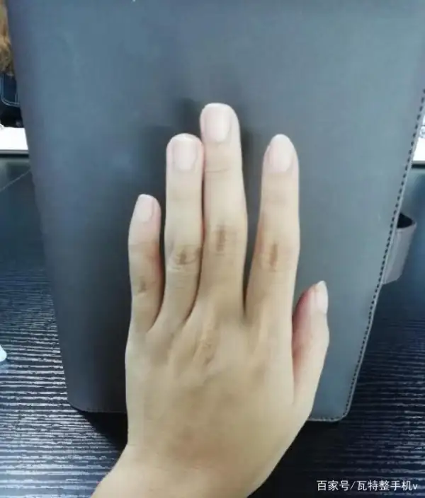 美白丸怎么美白的?美白丸哪个牌子好?-第5张图片-波音达手游百科