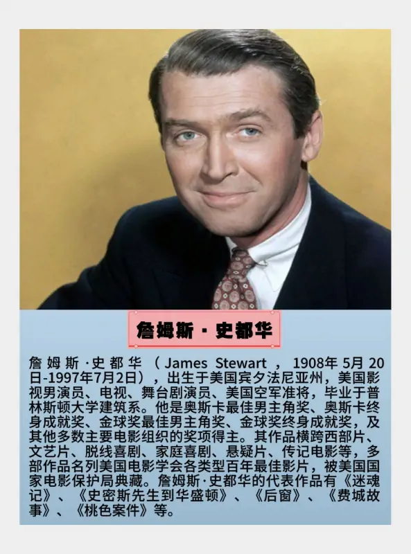 2008年奥斯卡金奖电影是什么?-第9张图片-波音达手游百科