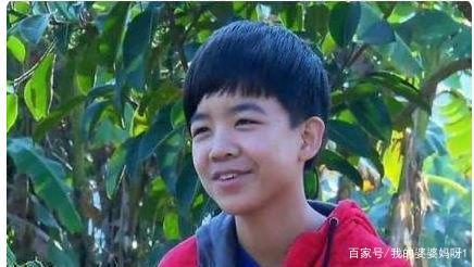 变形记易虎臣回访结尾曲是什么(变形记易虎臣简介)-第3张图片-波音达手游百科