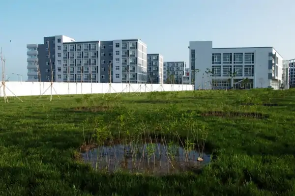 校外如何使用天津大学仁爱学院图书馆(天津大学仁爱学院图书馆有空调吗?)-第4张图片-波音达手游百科