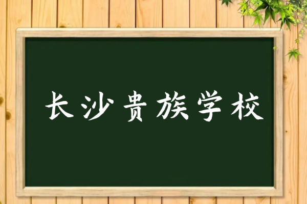 广州贵族学校的排名?长沙贵族学校排名-第2张图片-波音达手游百科
