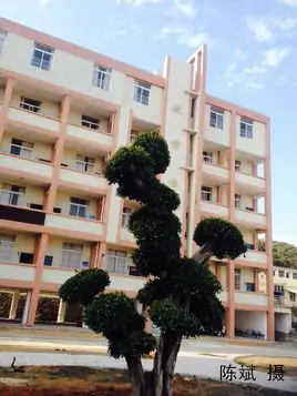 历仼福建省委组织部常务副部长是谁-第2张图片-波音达手游百科