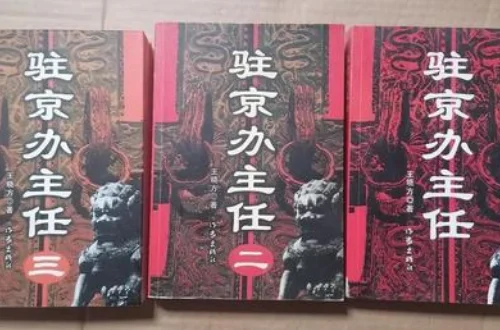 经典官场小说有哪些(优秀的官场小说?)-第9张图片-波音达手游百科