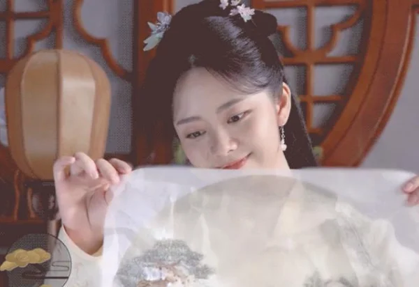 锦心似玉演员表介绍 锦心似玉的电视剧简介(锦心似玉电视剧多少集?)-第11张图片-波音达手游百科