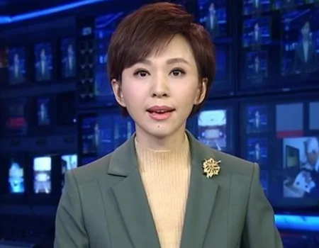郑州电视台的新闻综合频道(保定电视台的下设频道)-第7张图片-波音达手游百科