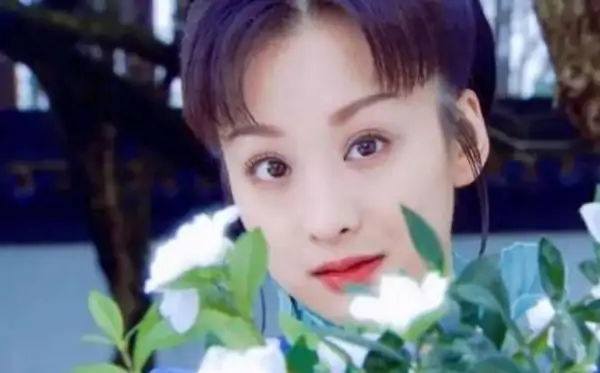 穆婷婷主演的武侠电视剧有哪些(何美钿穆婷婷主演的电视剧?)-第7张图片-波音达手游百科