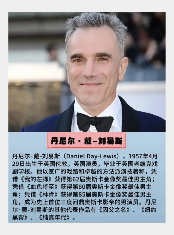 2008年奥斯卡金奖电影是什么?-第2张图片-波音达手游百科