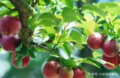 碳酸氢铵有什么作用呢?碳酸氢铵在选矿的作用有哪些-第4张图片-波音达手游百科