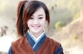 刘诗诗演过的电影有哪些(刘诗诗演过的电影 刘诗诗演过什么电影)-第16张图片-波音达手游百科