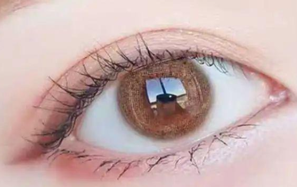 狮子什么瞳孔颜色最稀有?世界十大最稀有瞳孔颜色-第4张图片-波音达手游百科