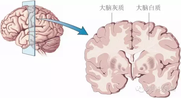 中老年人适合上啥网站?适合中老年人的网站最靠谱的-第5张图片-波音达手游百科