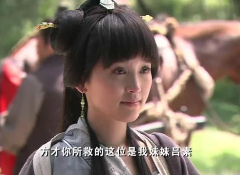 李智楠和金莎都和演过什么电视剧(金莎所有演过的电视剧和电影?)-第17张图片-波音达手游百科
