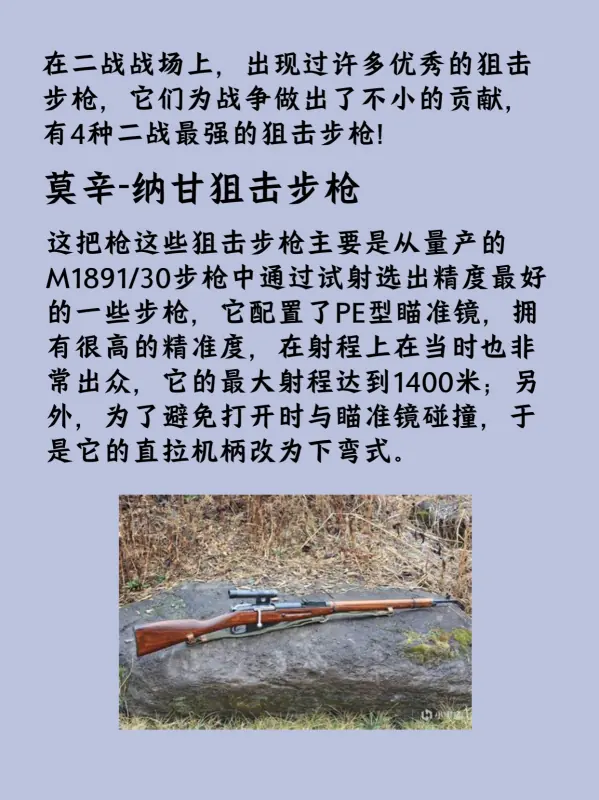 关于二战时的狙击手电影有哪些?二战狙击手的电影都有哪些?-第29张图片-波音达手游百科