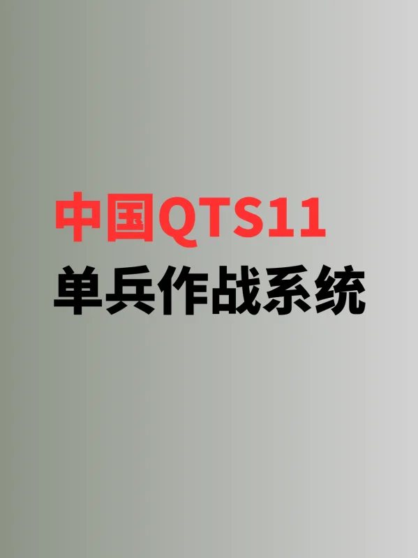 中国QTS11单兵作战系统(中国单兵作战系统的简介)-第1张图片-波音达手游百科