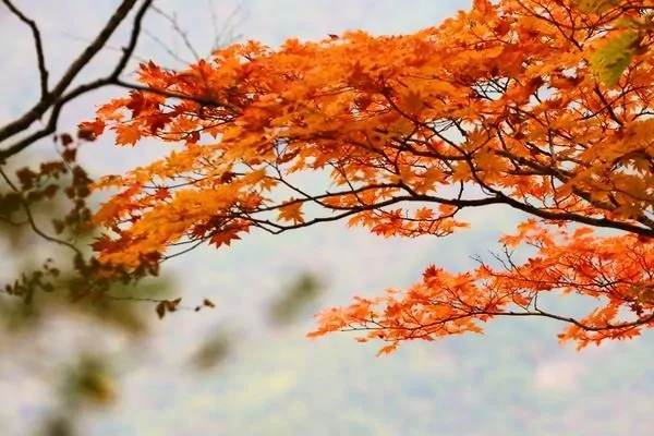 大庆百湖频道在哪在载(大庆百湖频道怎么没了)-第1张图片-波音达手游百科