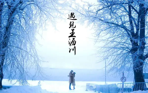 2009偶像剧排行榜结果如何?-第8张图片-波音达手游百科