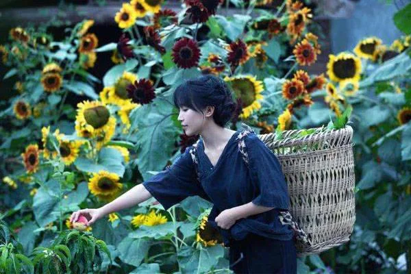 怎样报名参加《正大综艺》吉尼斯中国之夜-第10张图片-波音达手游百科