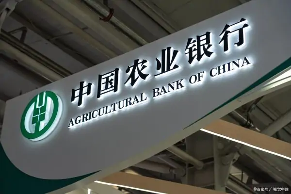 农业银行网上银行上海企业怎么操作(农业银行网上银行如何对账)-第1张图片-波音达手游百科