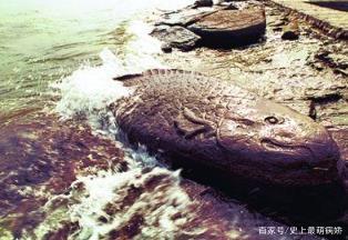 白鹤梁水下博物馆在哪(白鹤梁水下博物馆好停车吗)-第3张图片-波音达手游百科