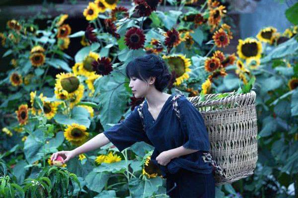 怎样报名参加《正大综艺》吉尼斯中国之夜-第5张图片-波音达手游百科