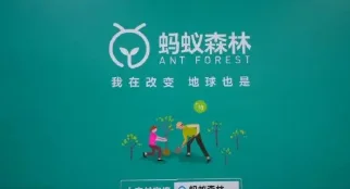 蚂蚁森林树的六个阶段是什么?蚂蚁森林爱情树6个阶段变化是什么?-第10张图片-波音达手游百科