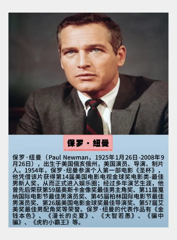2008年奥斯卡金奖电影是什么?-第11张图片-波音达手游百科