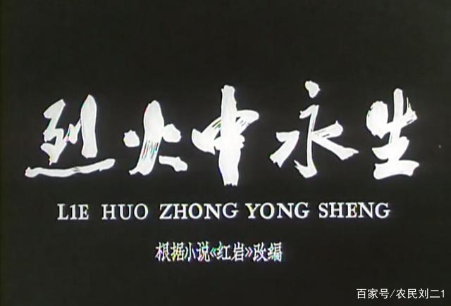 电影演员王心刚近况(电影演员王心刚今何在)-第3张图片-波音达手游百科