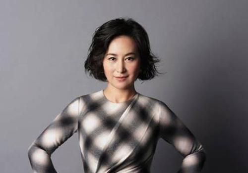 何超琼不能生育(何超琼的现任老公)-第3张图片-波音达手游百科