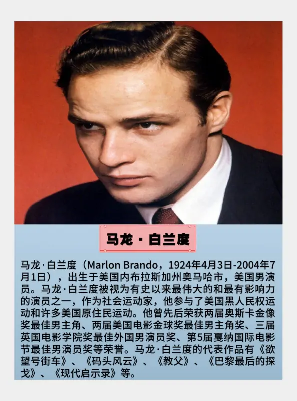 2008年奥斯卡金奖电影是什么?-第4张图片-波音达手游百科