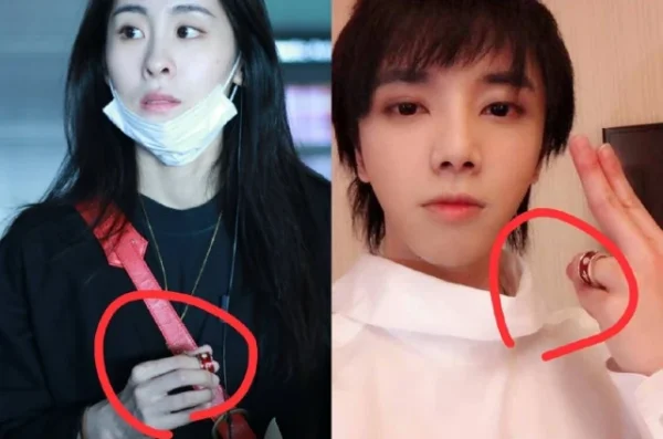 红玫瑰的原唱是不是张碧晨(红玫瑰歌词张碧晨版)-第10张图片-波音达手游百科