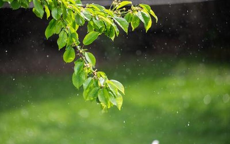 春天的风能否吹来夏天的雨是什么歌-第1张图片-波音达百科