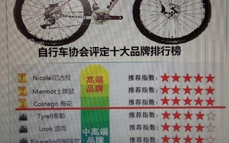 自行车品牌排行榜前十名-第1张图片-波音达百科