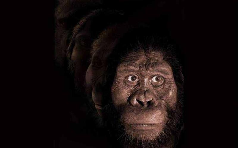 世界上之一个人类-第1张图片-波音达百科