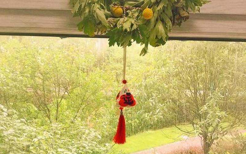 端午节艾草挂门口什么寓意-第1张图片-波音达百科