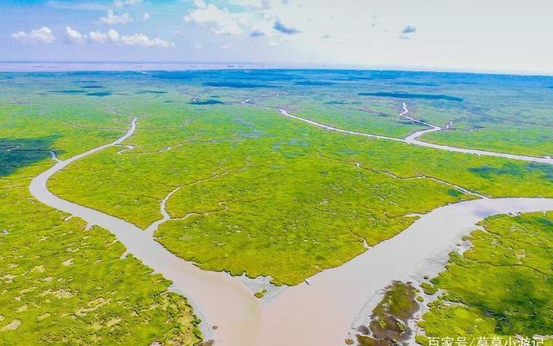 湿地被称为地球的什么-第1张图片-波音达百科