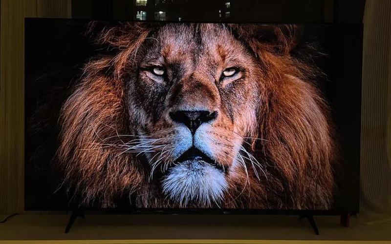 有什么好看的电视-第1张图片-波音达百科