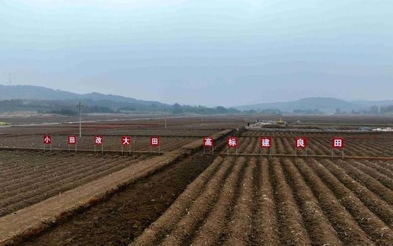 农田征收多少钱一亩-第1张图片-波音达百科