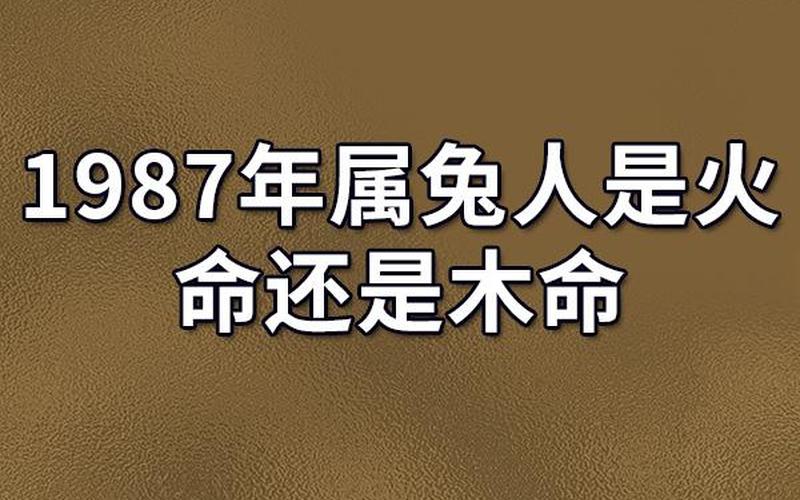 87年属兔34岁有一劫2021-第1张图片-波音达手游百科