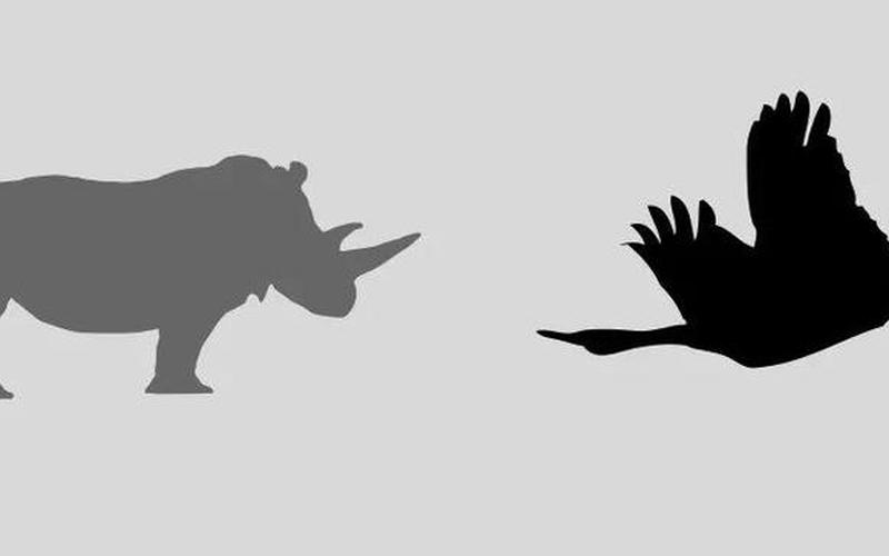 灰犀牛和黑天鹅指什么-第1张图片-波音达百科