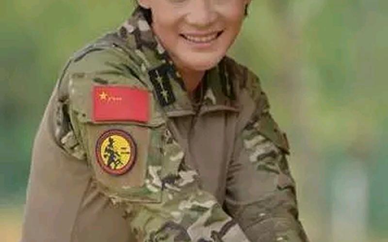 特种兵火凤凰演员表-第1张图片-波音达百科