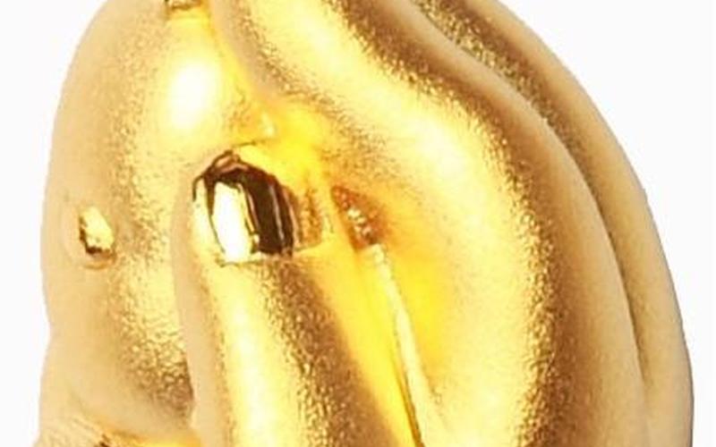 掌上明珠是什么生肖打一肖-第1张图片-波音达百科